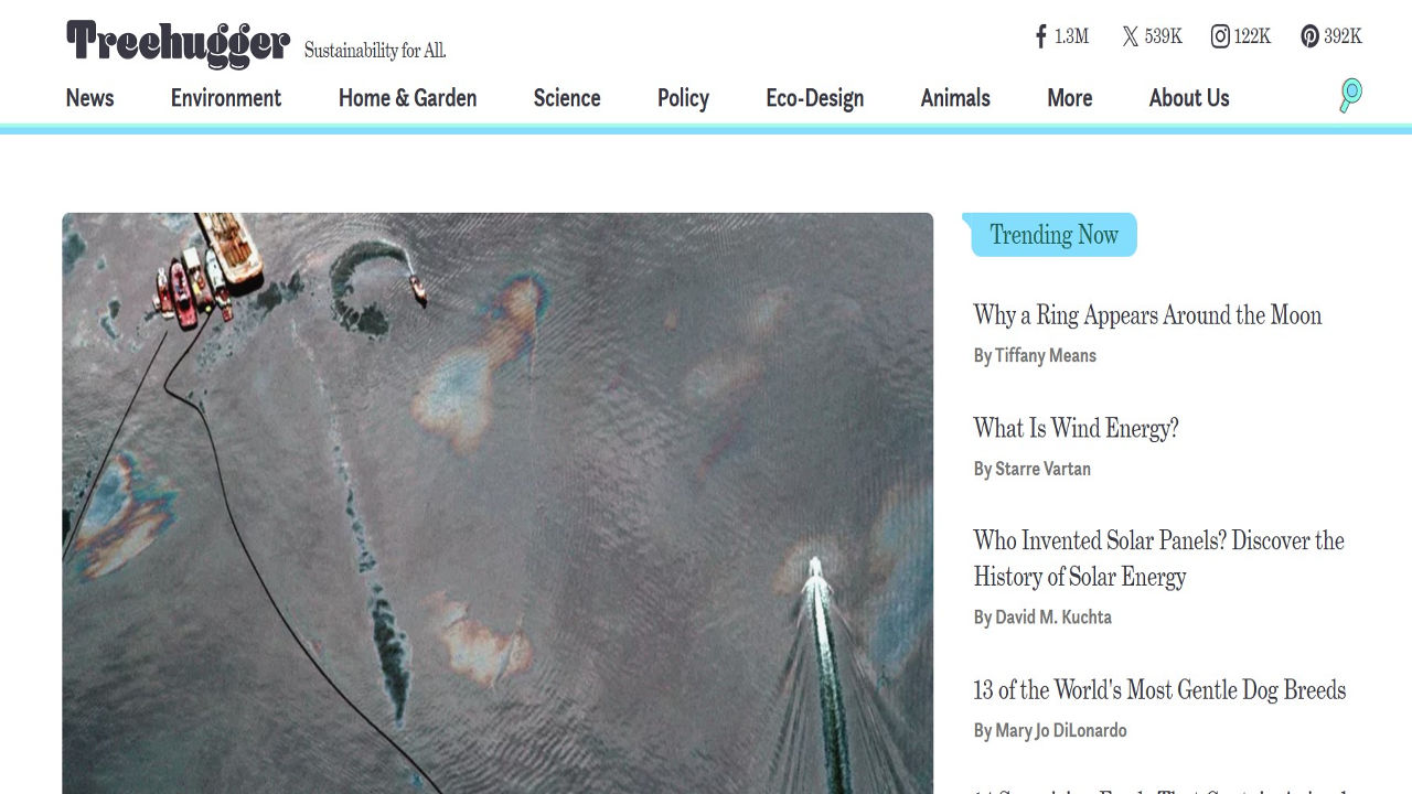 Tree hugger environment awareness blog Home Homepage of Tree Hugger Blog