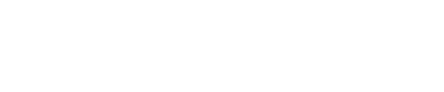 Webindia Logo Home Webindia Logo Web Development and Digital Solutions Company