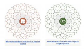 Biologics vs. Small Molecule Drugs: The Ultimate Guide