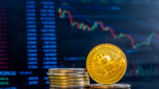 Everything you need to know about the Bitcoin Vladimir club