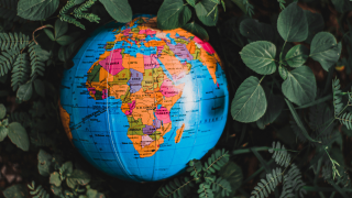 Inventions that need to be invented to help the world