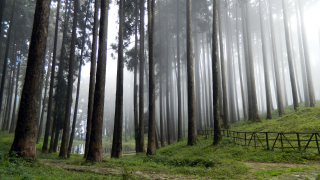 Top 8 Tourist Places in Darjeeling worth visiting!